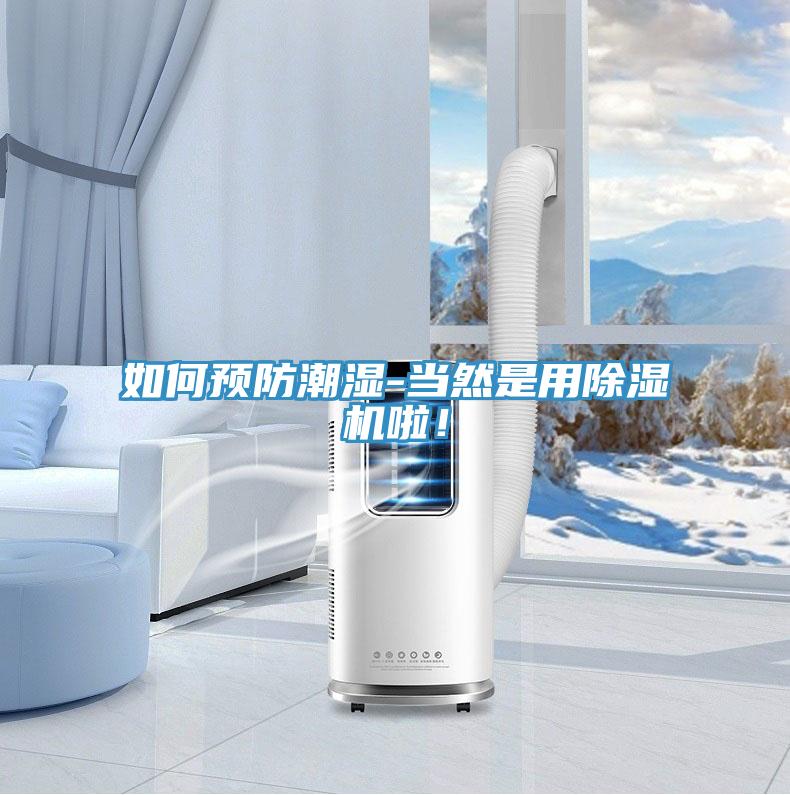 如何預防潮濕-當然是用除濕機啦！