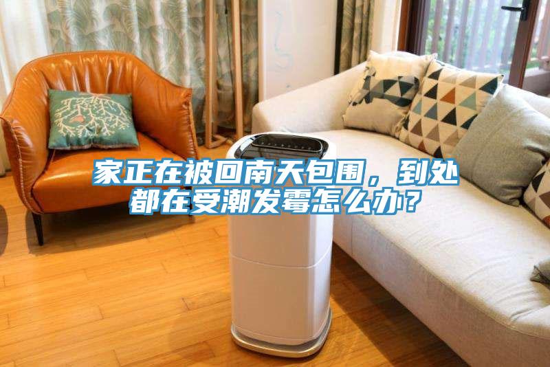 家正在被回南天包圍，到處都在受潮發霉怎么辦？