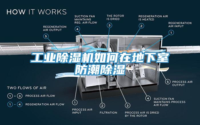 工業除濕機如何在地下室防潮除濕