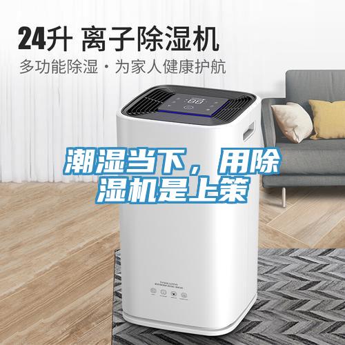 潮濕當下，用除濕機是上策