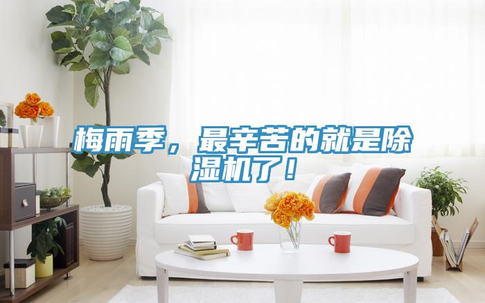 梅雨季，最辛苦的就是除濕機了！
