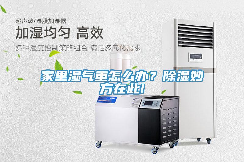 家里濕氣重怎么辦？除濕妙方在此!