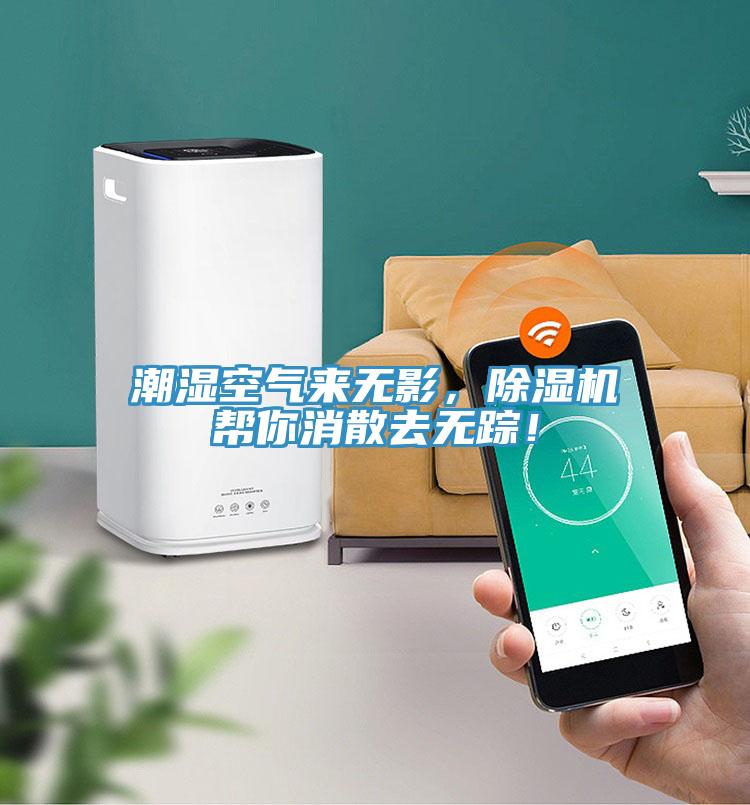 潮濕空氣來無影，除濕機幫你消散去無蹤！