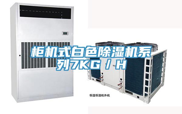 柜機式白色除濕機系列7KG／H