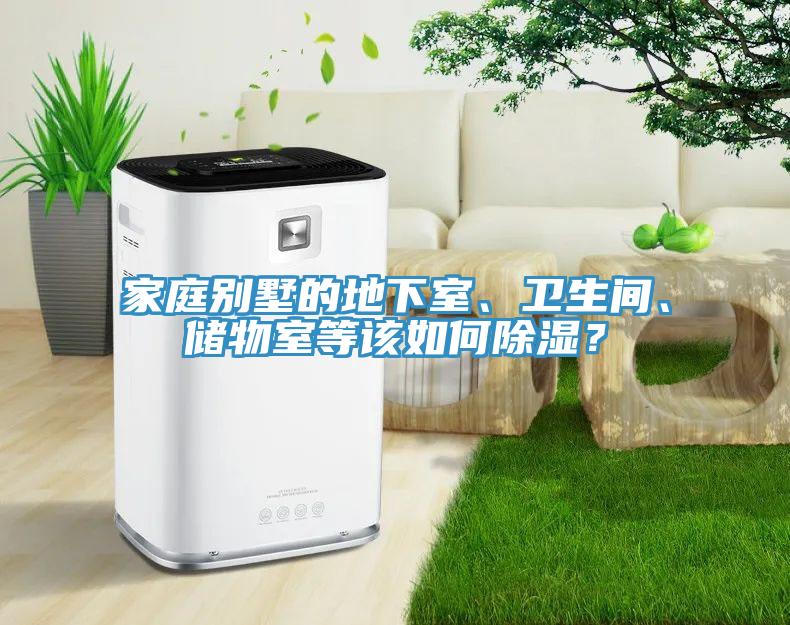家庭別墅的地下室、衛生間、儲物室等該如何除濕？