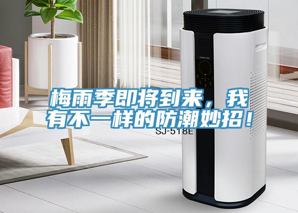 梅雨季即將到來，我有不一樣的防潮妙招！