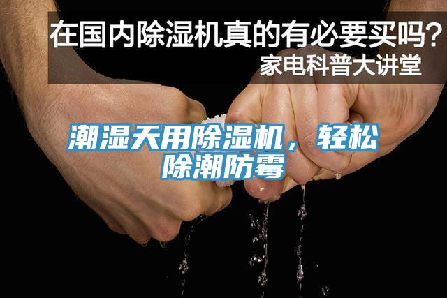潮濕天用除濕機，輕松除潮防霉