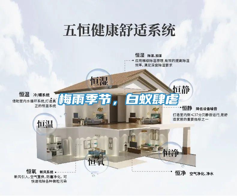 梅雨季節，白蟻肆虐