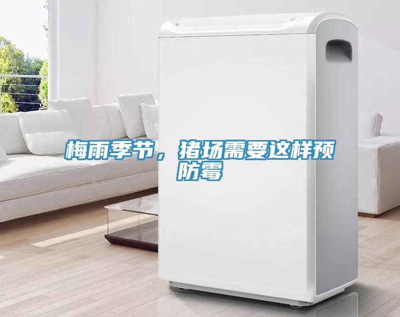 梅雨季節，豬場需要這樣預防霉