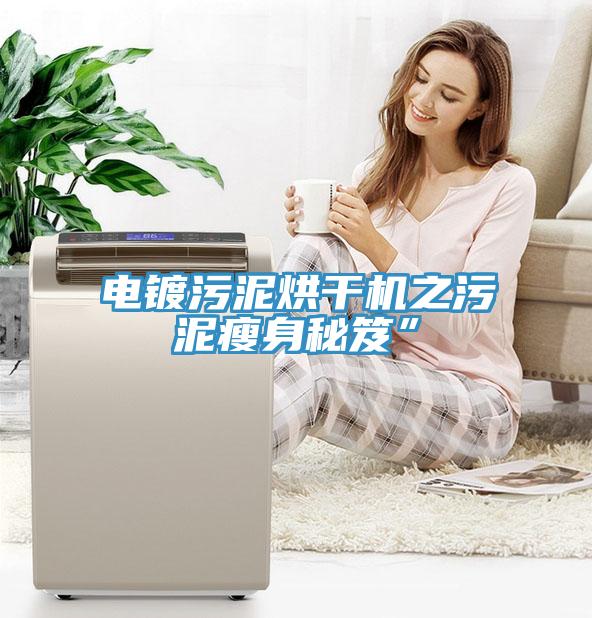 電鍍污泥烘干機之污泥瘦身秘笈”