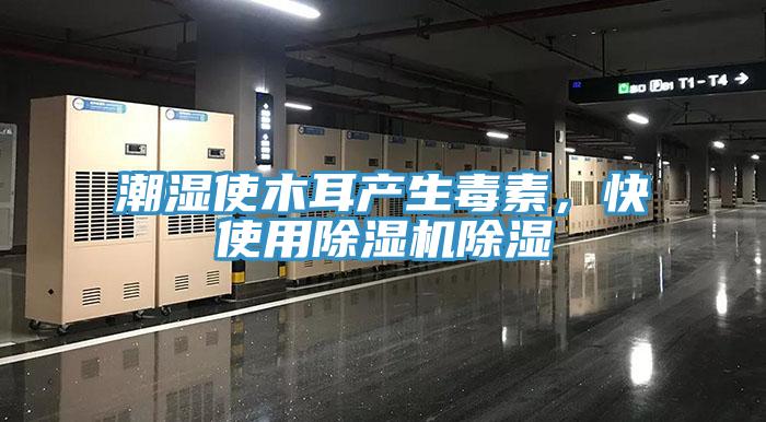潮濕使木耳產生毒素，快使用除濕機除濕