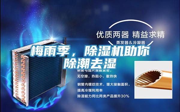梅雨季，除濕機助你除潮去濕