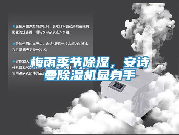 梅雨季節除濕，安詩曼除濕機顯身手