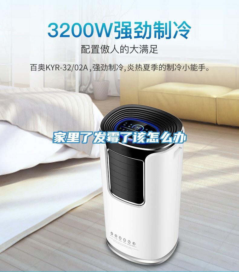 家里了發霉了該怎么辦