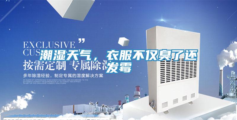 潮濕天氣,衣服不僅臭了還發霉