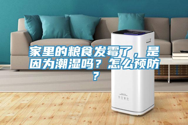 家里的糧食發霉了，是因為潮濕嗎？怎么預防？