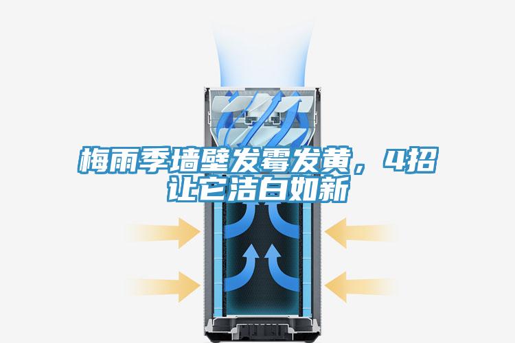 梅雨季墻壁發霉發黃，4招讓它潔白如新
