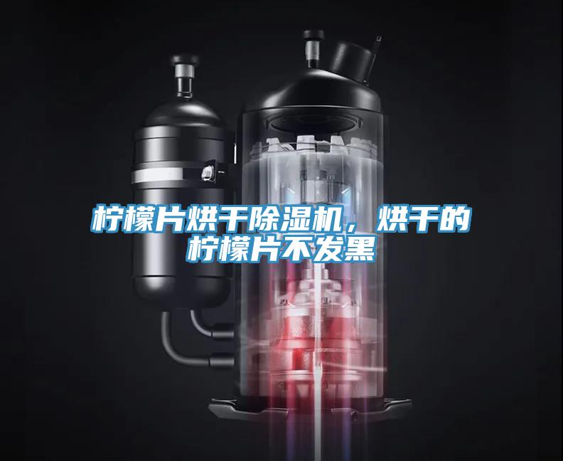 檸檬片烘干除濕機，烘干的檸檬片不發黑