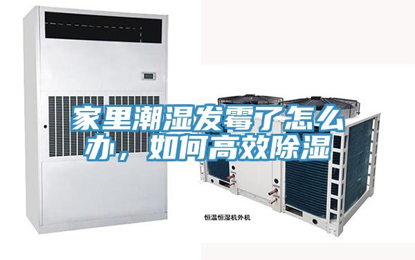 家里潮濕發霉了怎么辦，如何高效除濕