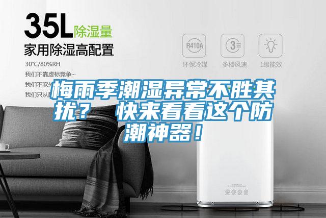 梅雨季潮濕異常不勝其擾？ 快來看看這個防潮神器！