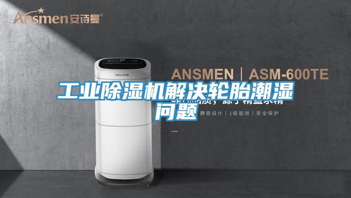 工業除濕機解決輪胎潮濕問題