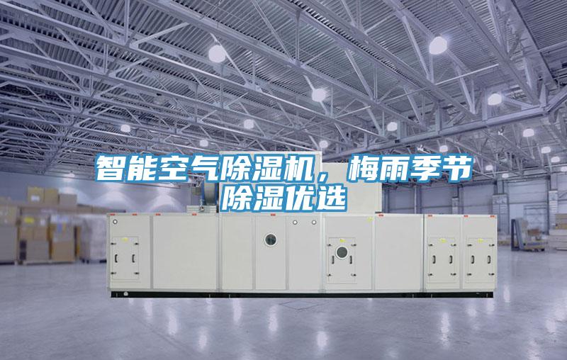 智能空氣除濕機，梅雨季節除濕優選
