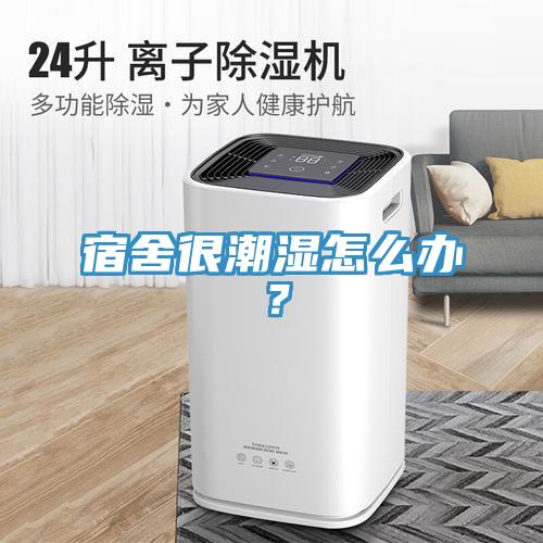 宿舍很潮濕怎么辦？