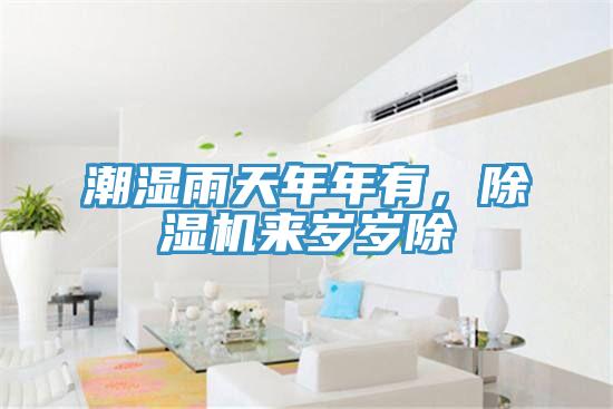 潮濕雨天年年有，除濕機來歲歲除