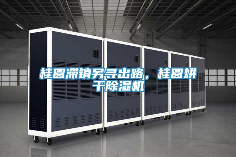 桂圓滯銷另尋出路，桂圓烘干除濕機