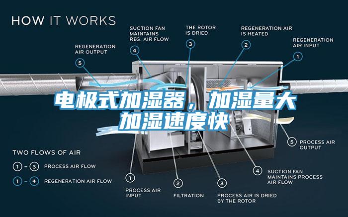 電極式加濕器，加濕量大加濕速度快