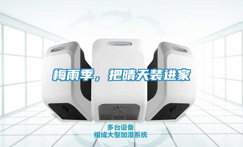 梅雨季，把晴天裝進家