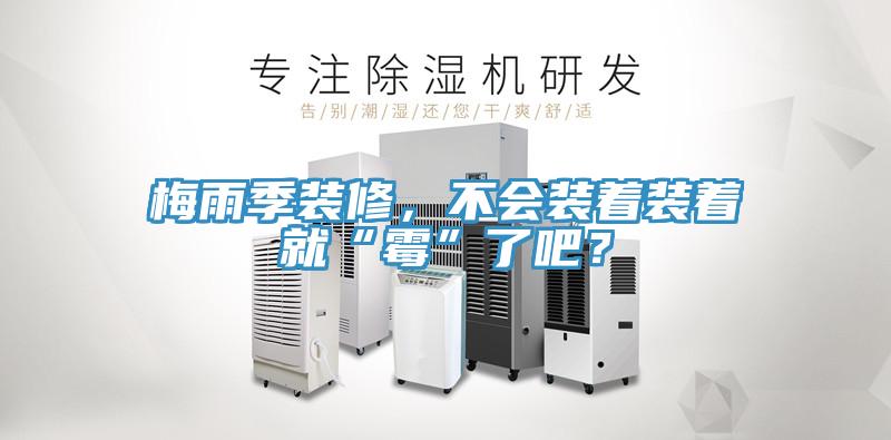 梅雨季裝修，不會裝著裝著就“霉”了吧？