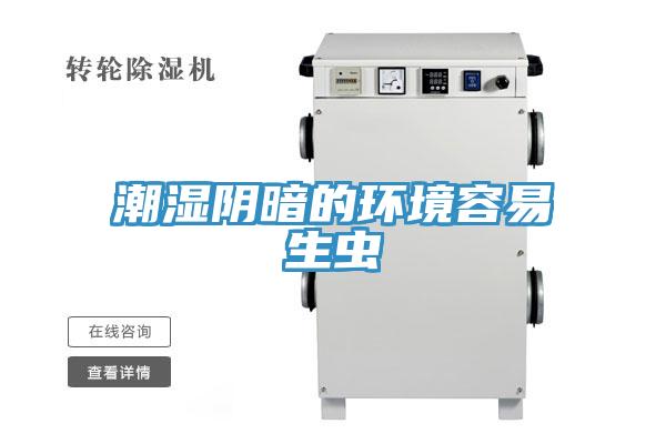 潮濕陰暗的環境容易生蟲