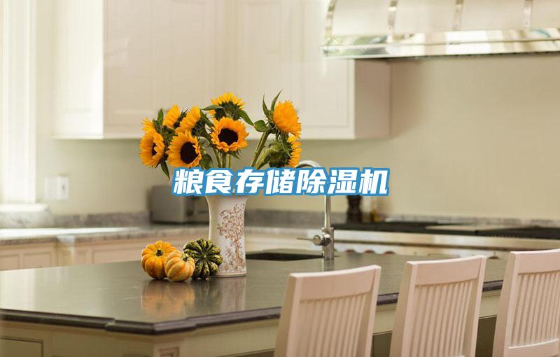 糧食存儲除濕機