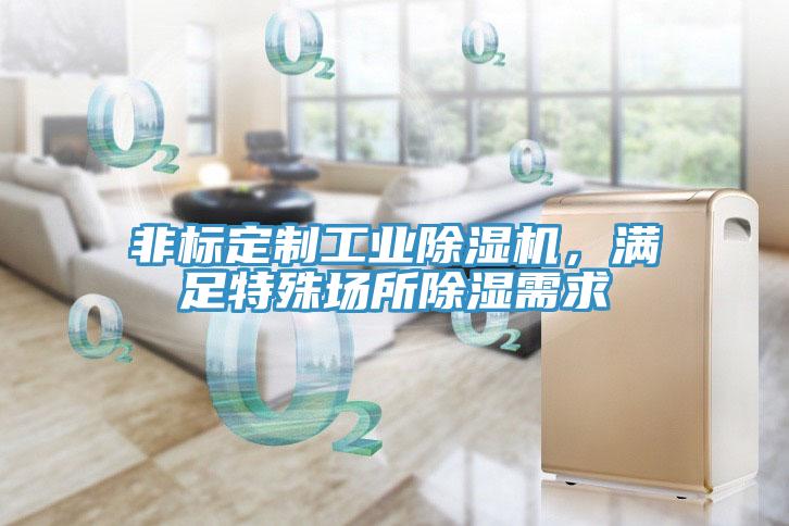 非標定制工業除濕機，滿足特殊場所除濕需求