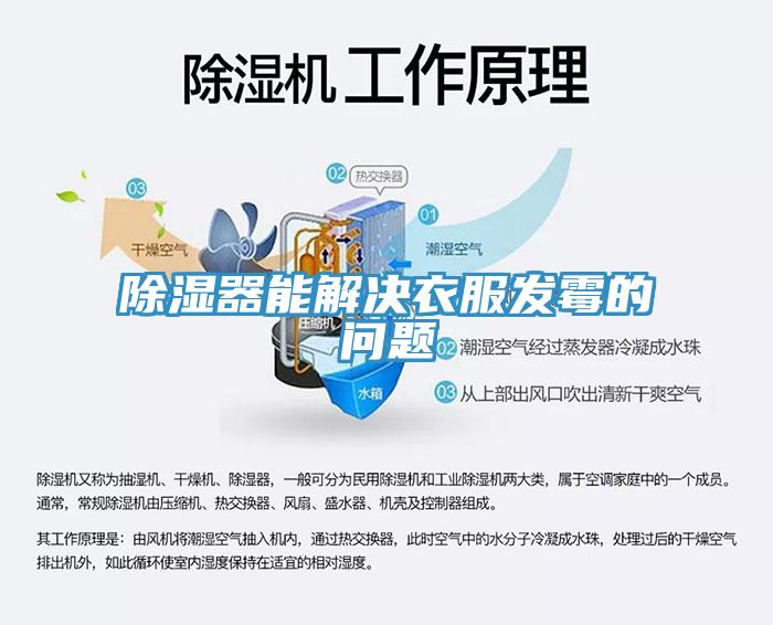 除濕器能解決衣服發霉的問題
