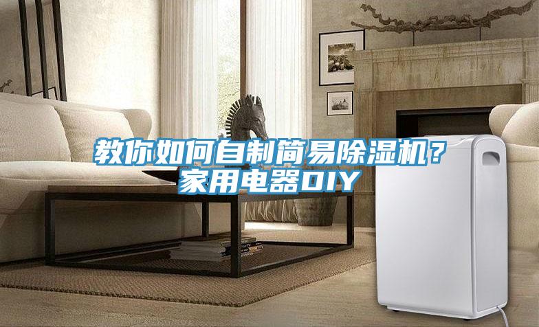 教你如何自制簡易除濕機？家用電器DIY