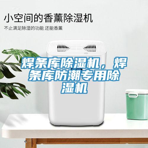 焊條庫除濕機，焊條庫防潮專用除濕機