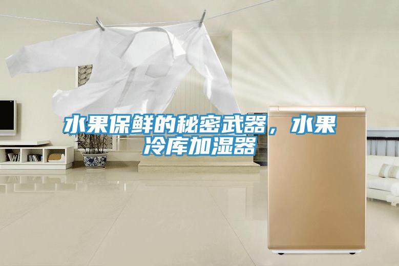 水果保鮮的秘密武器，水果冷庫加濕器