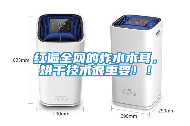 紅遍全網的柞水木耳，烘干技術很重要！！