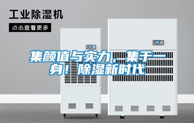集顏值與實力，集于一身！除濕新時代