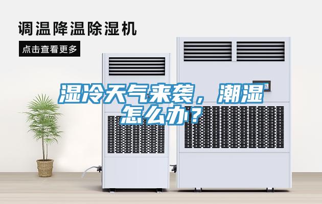 濕冷天氣來襲，潮濕怎么辦？
