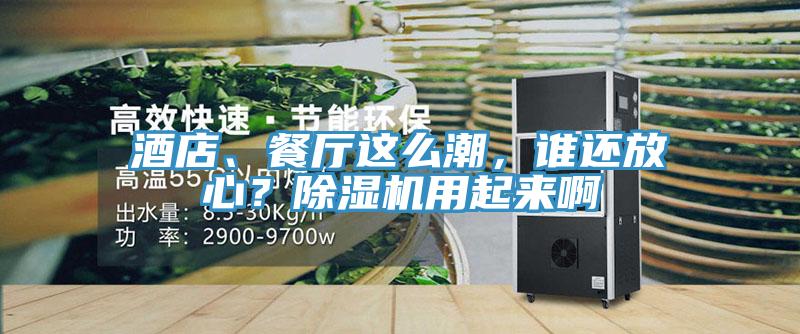 酒店、餐廳這么潮，誰還放心？除濕機用起來啊