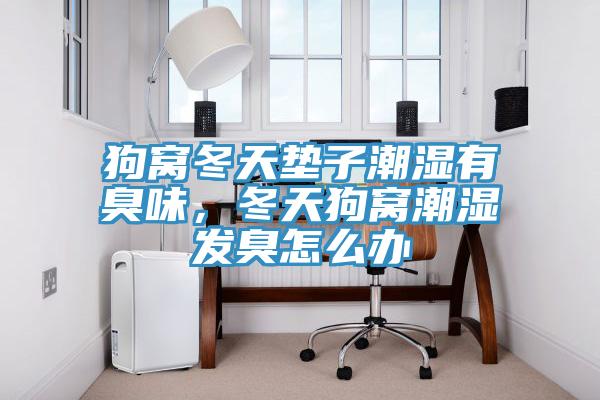 狗窩冬天墊子潮濕有臭味，冬天狗窩潮濕發臭怎么辦
