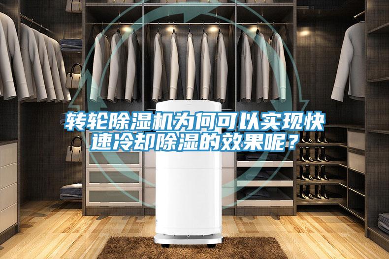 轉輪除濕機為何可以實現快速冷卻除濕的效果呢？