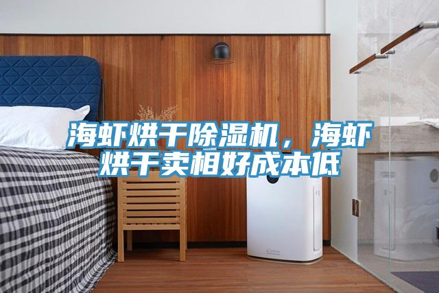 海蝦烘干除濕機，海蝦烘干賣相好成本低