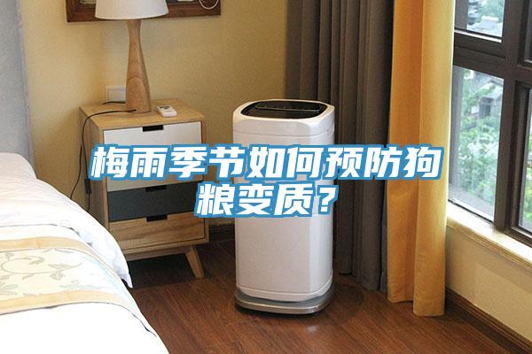 梅雨季節如何預防狗糧變質？