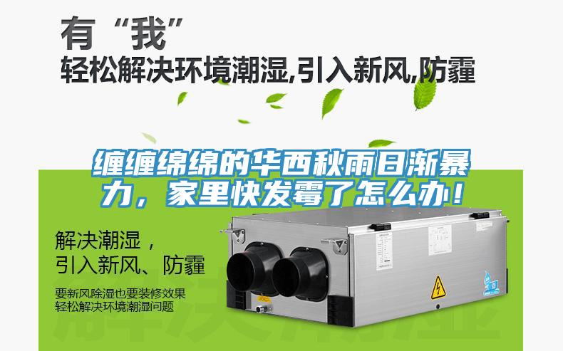 纏纏綿綿的華西秋雨日漸暴力，家里快發霉了怎么辦！