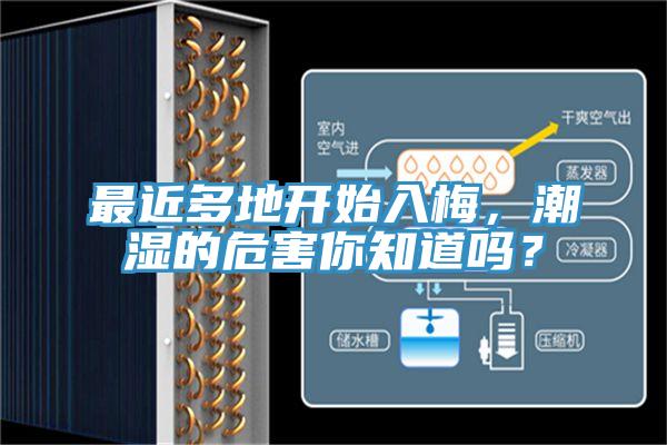 最近多地開始入梅，潮濕的危害你知道嗎？