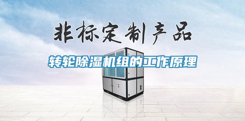 轉輪除濕機組的工作原理